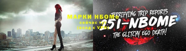 крисы Надым