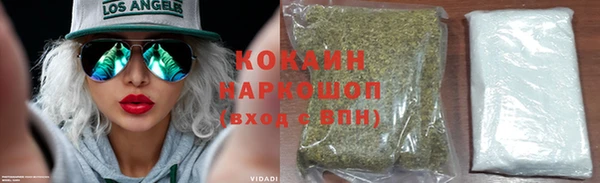 крисы Надым