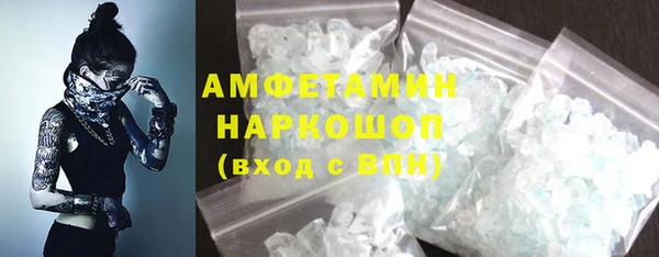 крисы Надым