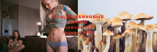 ECSTASY Абаза