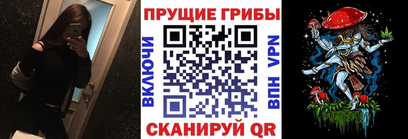 Псилоцибиновые грибы Cubensis  Алейск 