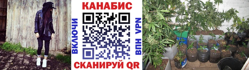 МАРИХУАНА конопля Алейск